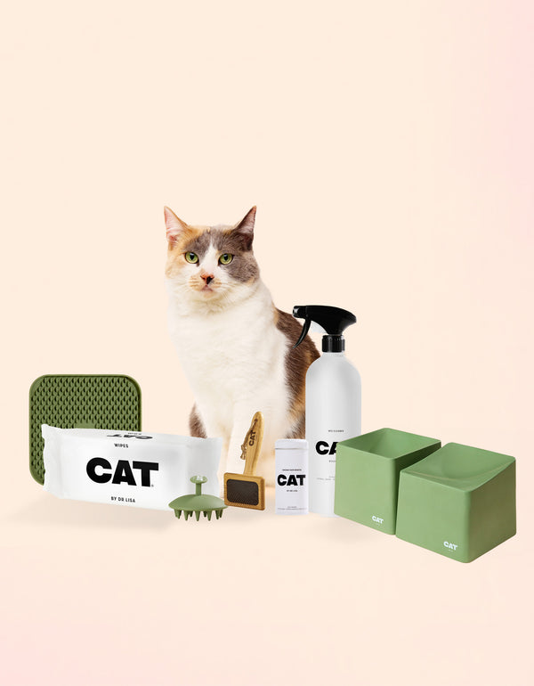 New Cat Set